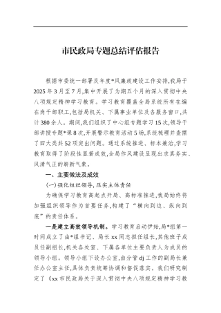 市民政局专题总结评估报告(1)