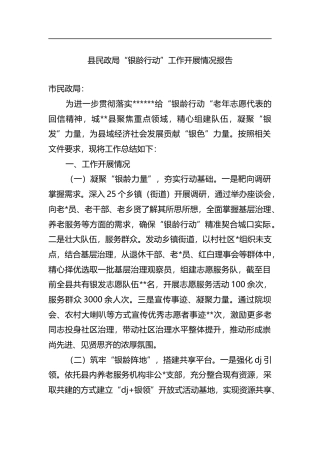 县民政局“银龄行动”工作开展情况报告
