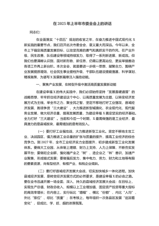 在2025年上半年市委全会上的讲话