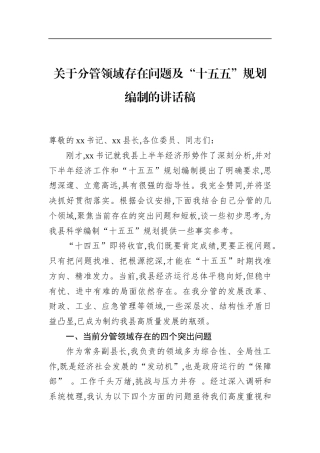 关于分管领域存在问题及“十五五”规划编制的讲话稿