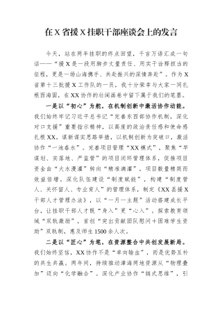 在X省援X挂职干部座谈会上的发言