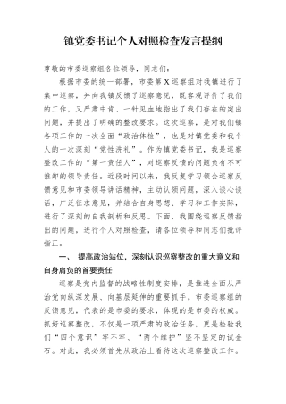 镇党委书记个人对照检查发言提纲