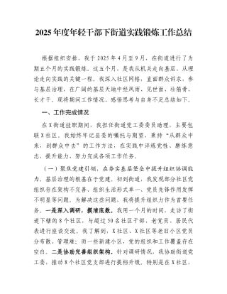 2025年度年轻干部下街道实践锻炼工作总结