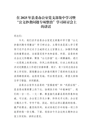 2025年县委办“公文抄袭问题专项整治”学习研讨会讲话