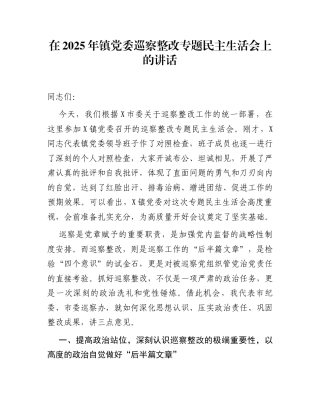 在2025年镇党委巡察整改专题民主生活会上的讲话