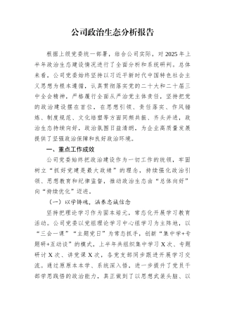 公司政治生态分析报告