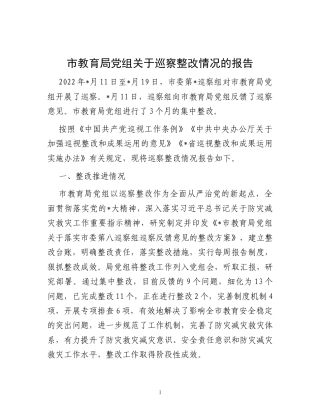 市教育局党组关于巡察整改情况的报告