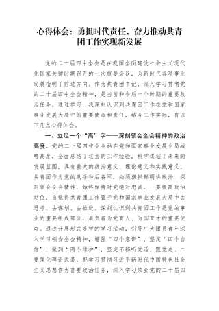 心得体会：勇担时代责任，奋力推动共青团工作实现新发展