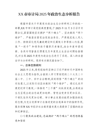 XX市审计局2025年政治生态分析报告