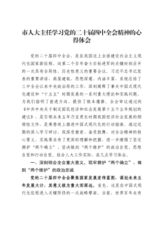 市人大主任学习党的二十届四中全会精神的心得体会（3722字）