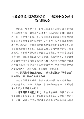 市委政法委书记学习党的二十届四中全会精神的心得体会（4011字）