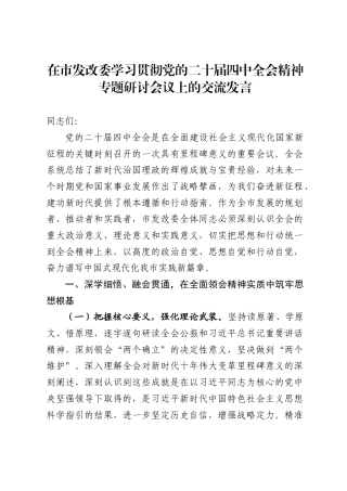 在市发改委学习贯彻党的二十届四中全会精神专题研讨会议上的交流发言（3471字）
