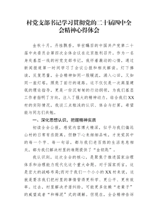 村党支部书记学习贯彻党的二十届四中全会精神心得体会