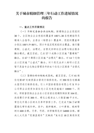关于城市精细管理三年行动工作进展情况的报告