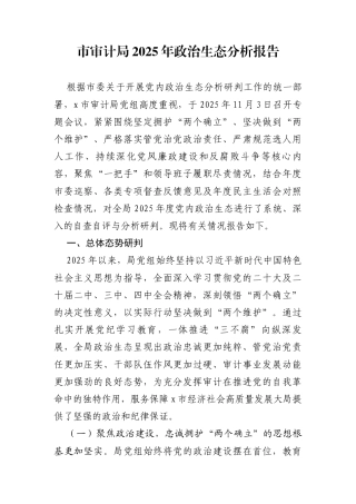 市审计局2025年政治生态分析报告