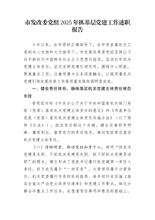 市发改委党组2025年抓基层党建工作述职报告