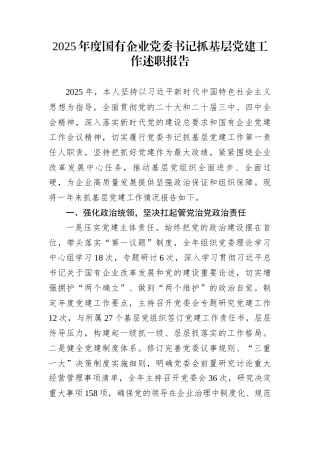 2025年度国有企业党委书记抓基层党建工作述职报告