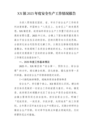 XX镇2025年度安全生产工作情况报告