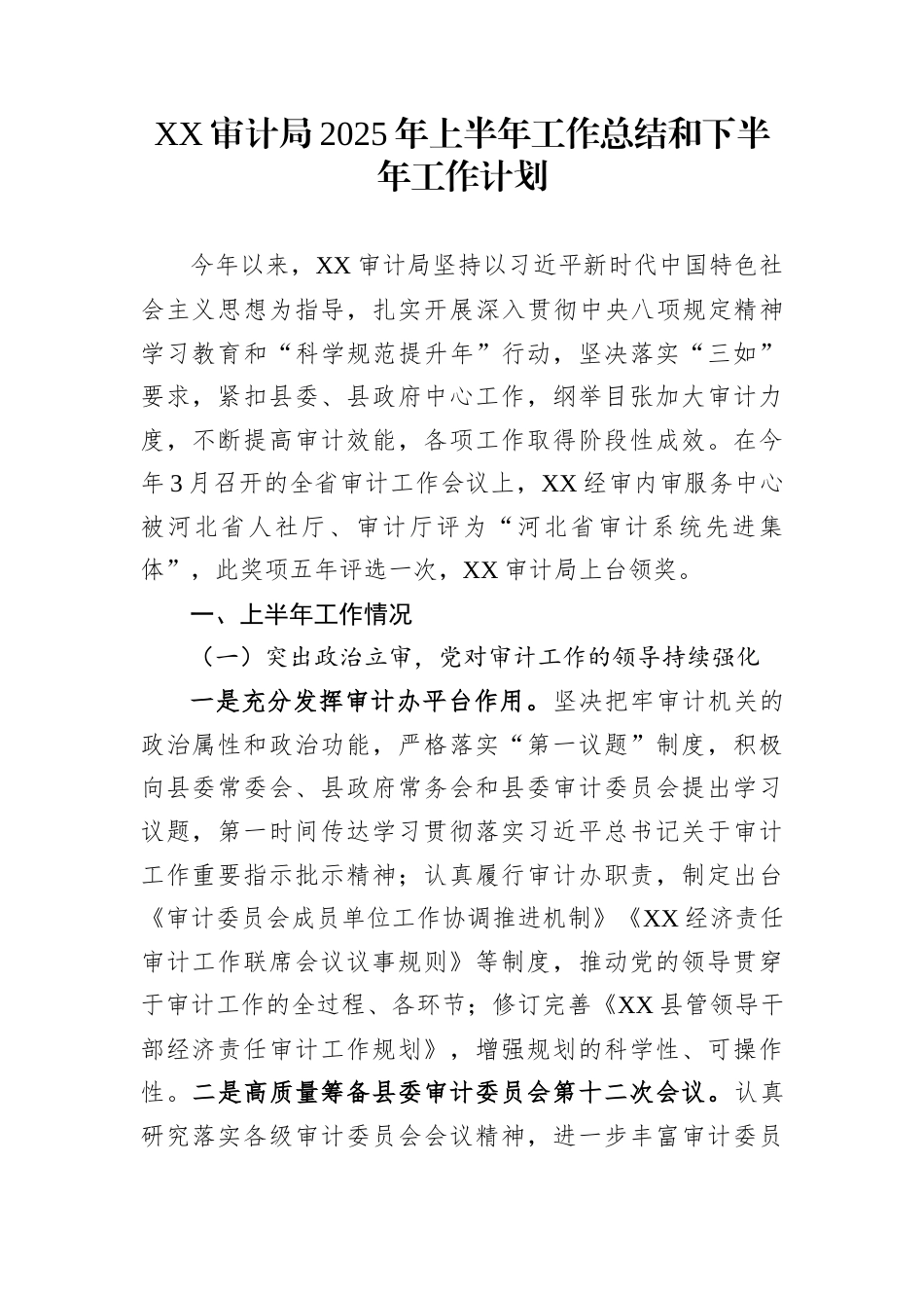 XX审计局2025年上半年工作总结和下半年工作计划_第1页