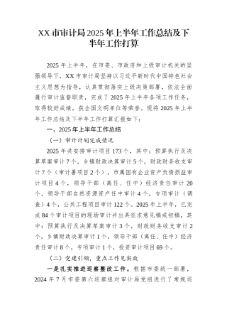 XX市审计局2025年上半年工作总结及下半年工作打算