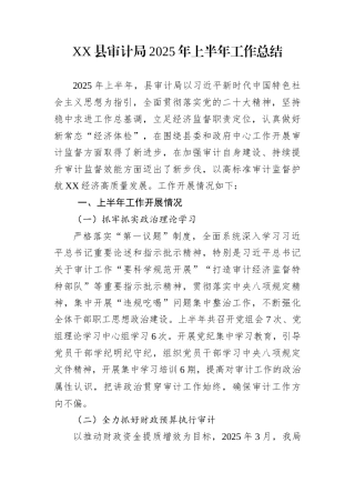 XX县审计局2025年上半年工作总结