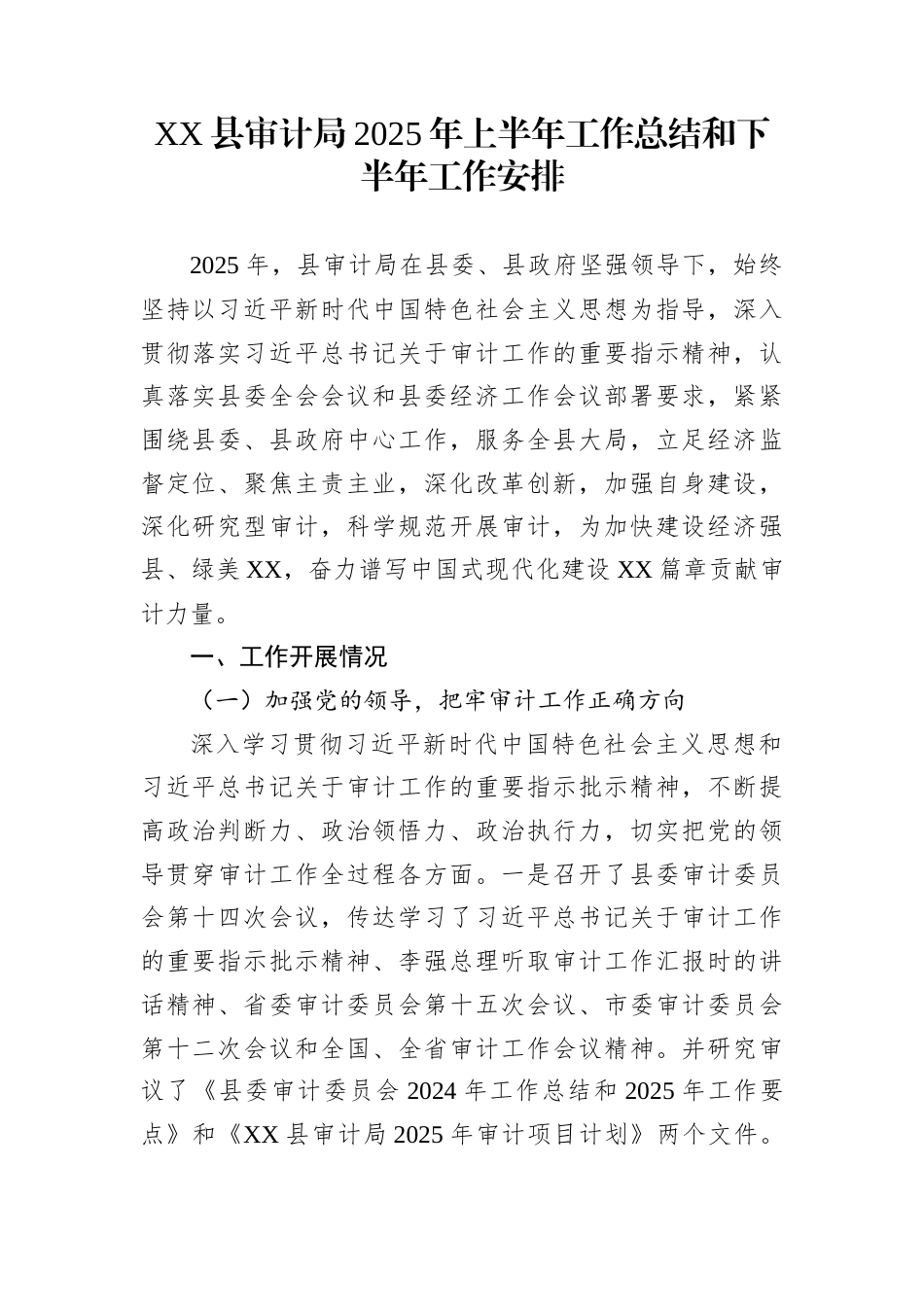 XX县审计局2025年上半年工作总结和下半年工作安排_第1页