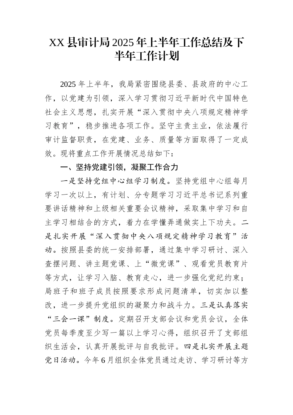XX县审计局2025年上半年工作总结及下半年工作计划_第1页