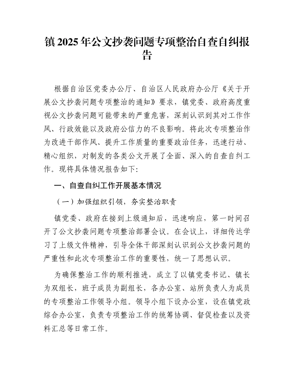 镇2025年公文抄袭问题专项整治自查自纠报告_第1页
