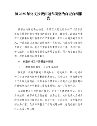 镇2025年公文抄袭问题专项整治自查自纠报告