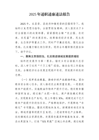 2025年述职述廉述法报告