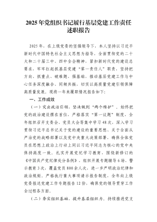2025年党组织书记履行基层党建工作责任述职报告