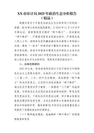 XX市审计局2025年政治生态分析报告（精品）