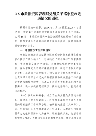 XX市数据资源管理局党组关于巡察整改进展情况的通报