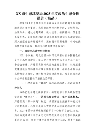 XX市生态环境局2025年度政治生态分析报告（精品）