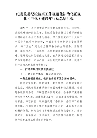 纪委监委纪检监察工作规范化法治化正规化（三化）建设年行动总结汇报