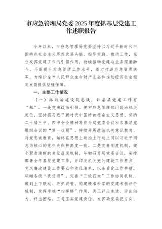 市应急管理局党委2025年度抓基层党建工作述职报告