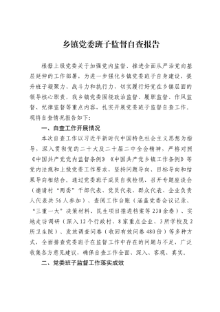 乡镇党委班子监督自查报告(6538字)