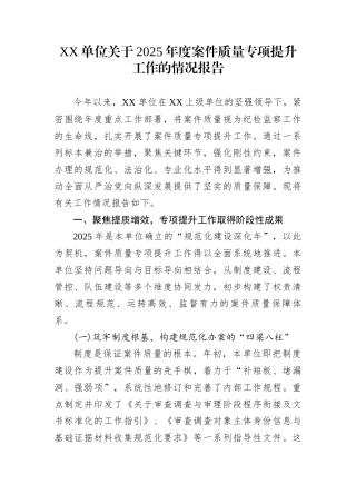 XX单位关于2025年度案件质量专项提升工作的情况报告