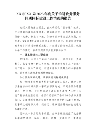 XX市XX局2025年度关于推进政务服务同质同标建设工作情况的报告
