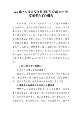 XX市XX投资发展集团有限公司2025年度董事会工作报告