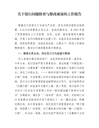 关于银行问题排查与整改成效的工作报告