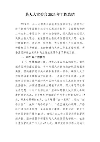 县人大常委会2025年工作总结