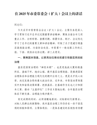 在2025年市委常委会（扩大）会议上的讲话