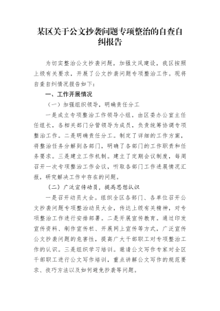 某区关于公文抄袭问题专项整治的自查自纠报告