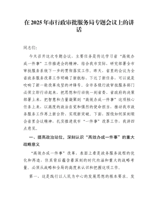 在2025年市行政审批服务局专题会议上的讲话