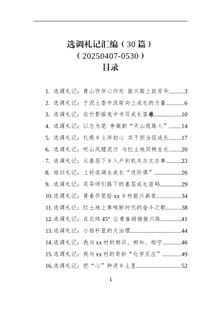 选调札记汇编（30篇）（20250407-0530）
