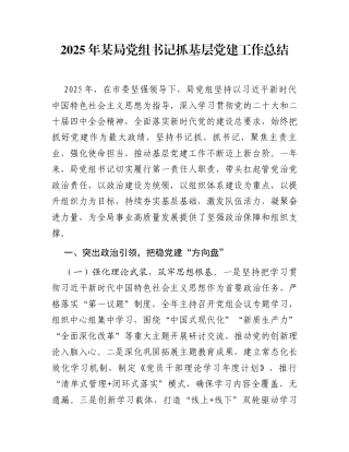 2025年某局党组书记抓基层党建工作总结