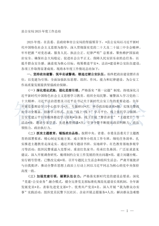 3.公安局2025年度工作总结