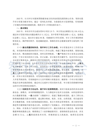 4.审计局2025年度工作总结报告