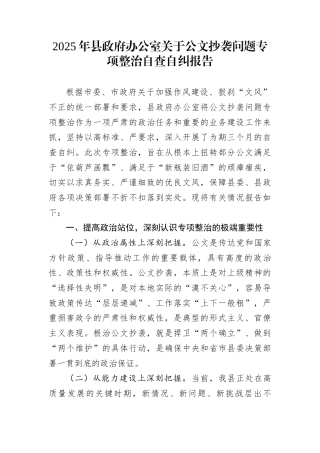 2025年县政府办公室关于公文抄袭问题专项整治自查自纠报告